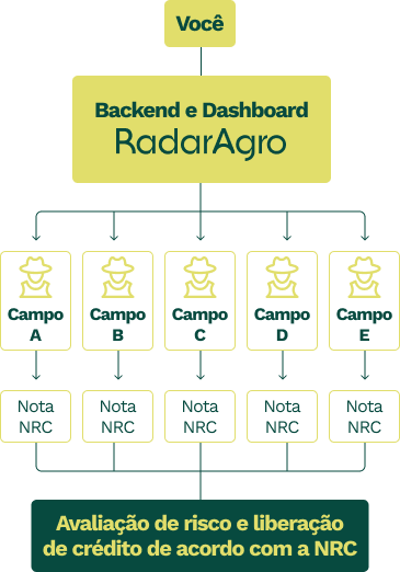 Diagrama Notas de Risco